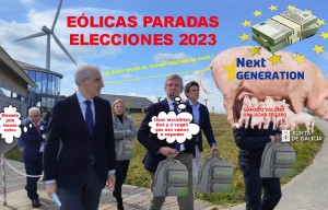 Las tramas eólicas del PP y Alfonso Rueda bajo la tregua política para fortalecer las elecciones.