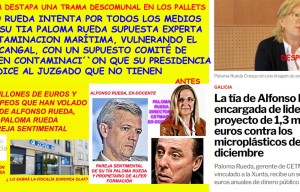 Comunicado de Pladesemapesga: La Plataforma Marítima sobre los pallets denuncia un fraude con el anuncio del Comité de Expertos para tapar a la tia Paloma Rueda del lider del PP de Galicia