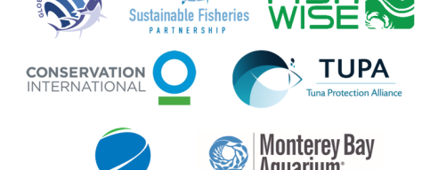 Pladesemapesga ante la reunión de WCPFC en diciembre de 2022 pide a la  sus 26 miembros  un acuerdo de sostenibilidad de los caladeros de atún, rabil y patudo.