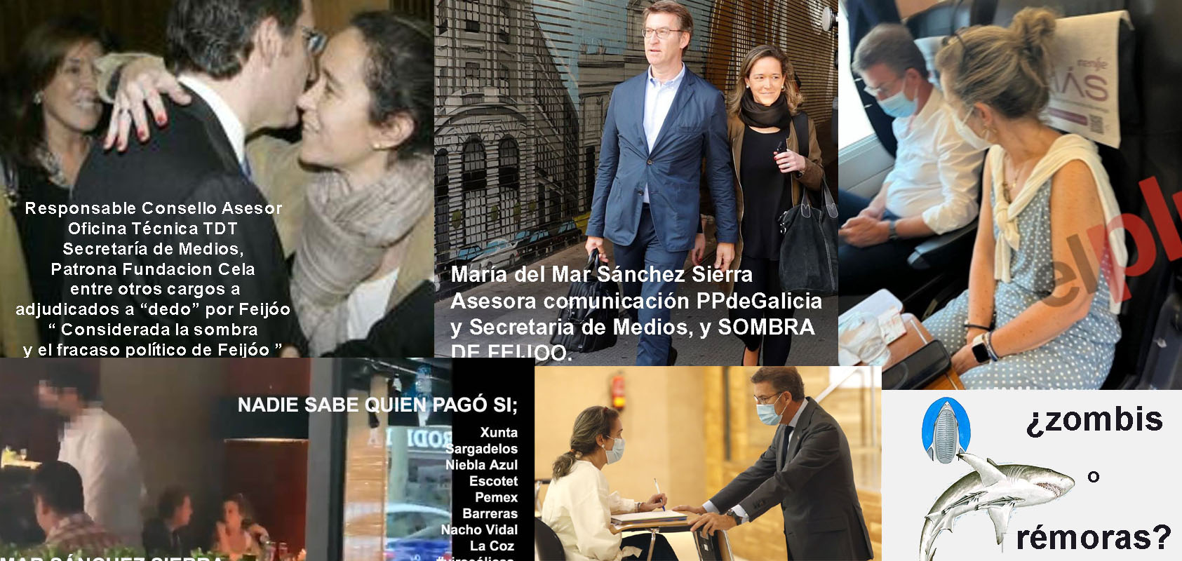 Xornal Galicia - Pladesemapesga afirma que el PP-Feijóo está literalmente  dominado por el miedo y terror a María del Mar Sánchez Sierra.
