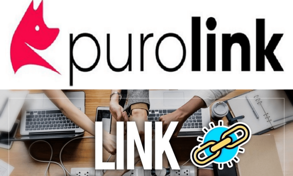 link building puro