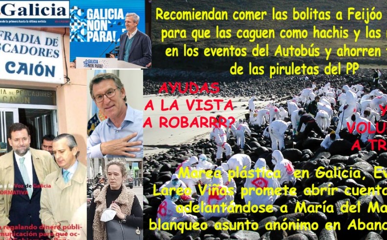 Ante la catástrofe del litoral Gallego, Alfonso Rueda solo muestra desprecios por Galicia y su sociedad huyendo con Feijóo a Madrid. 